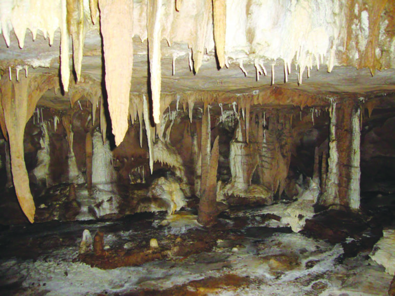 Meghalaya’s Krem Mawmluh added to UNESCO’s tentative World Heritage List